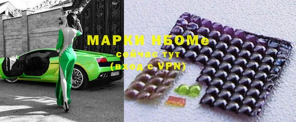 твердый Горняк