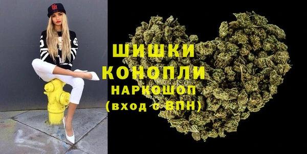 apvp Надым