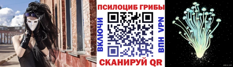 Галлюциногенные грибы ЛСД  Нижние Серги 