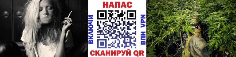 Бошки Шишки Bruce Banner  где можно купить   Нижние Серги 